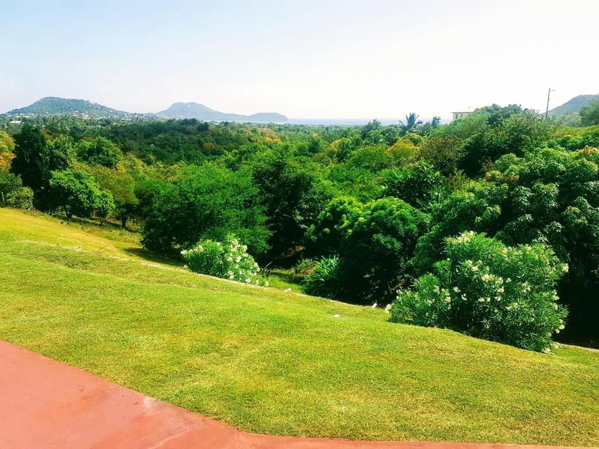Sunny Palm Villas Laborie Dış mekan fotoğraf